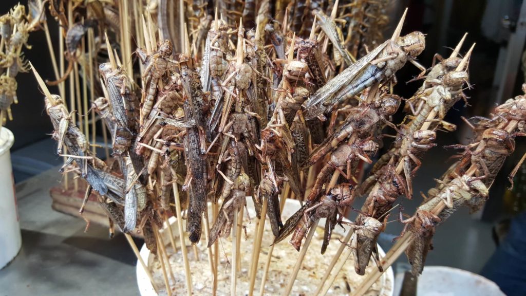 fried grasshoppers on skewers