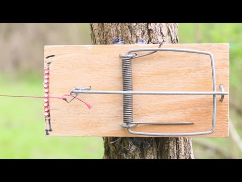 trip wire booby traps