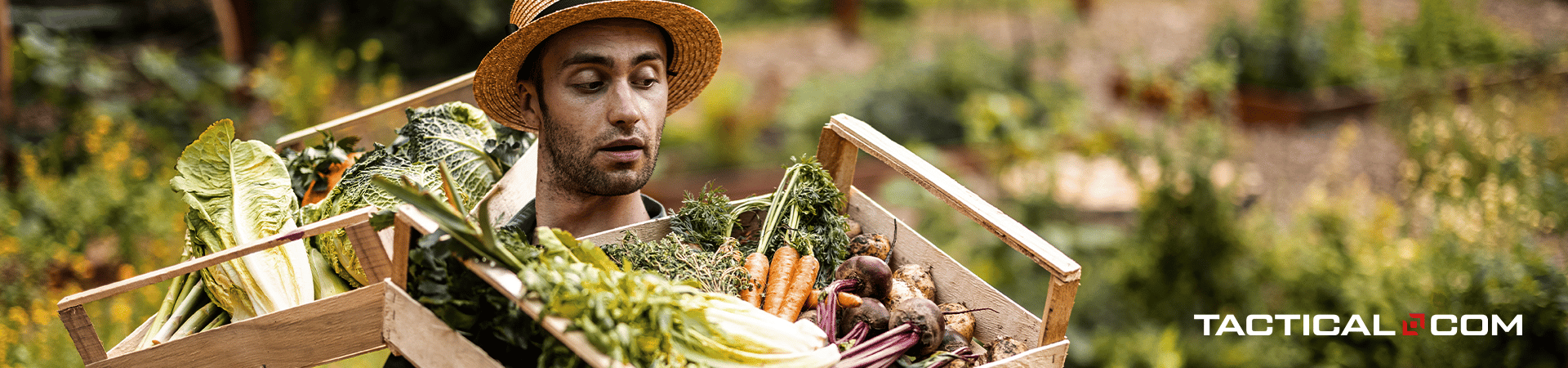 man carrying a basket of vegetables