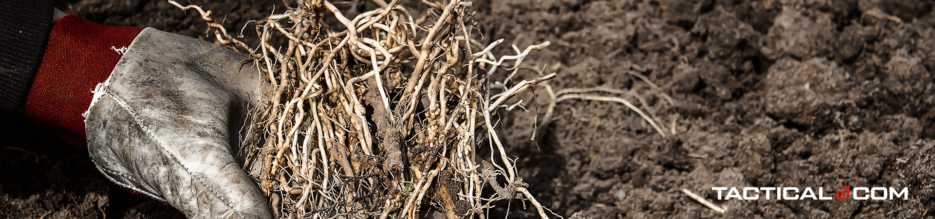 prepping a survival garden