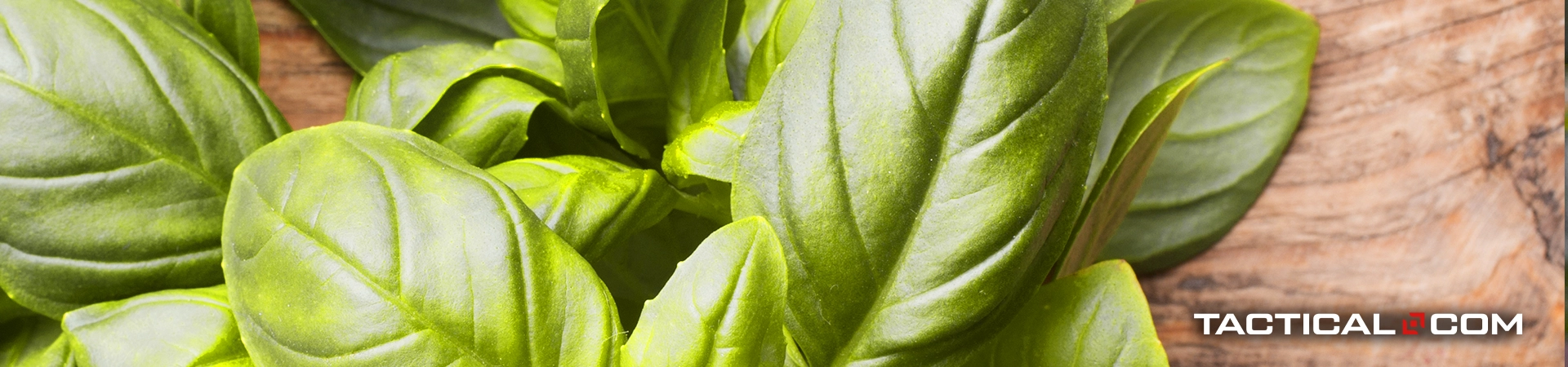 basil is one of the top herbs to grow in your garden