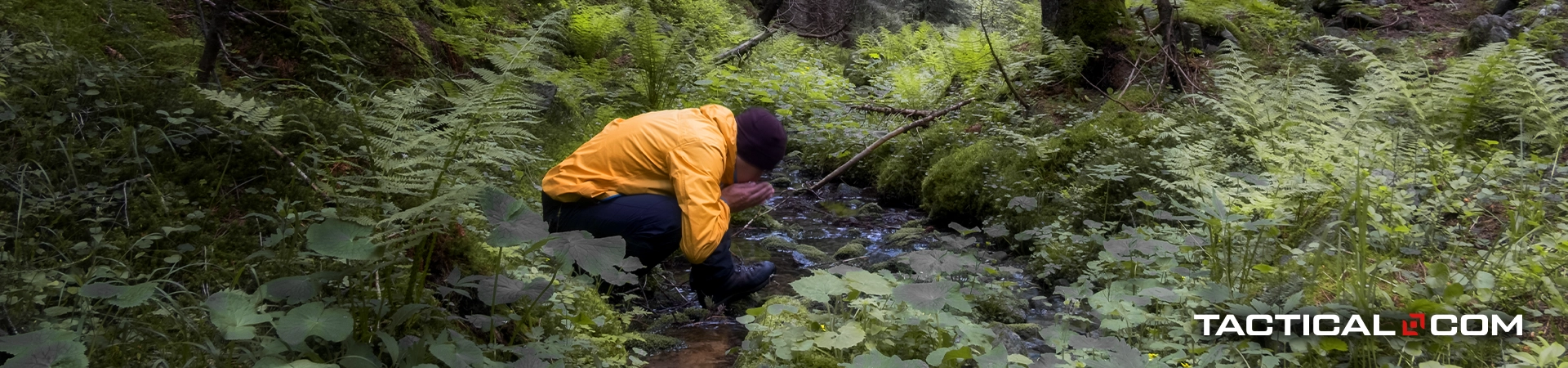 knowing how to find water in the wild is an essential survival skill