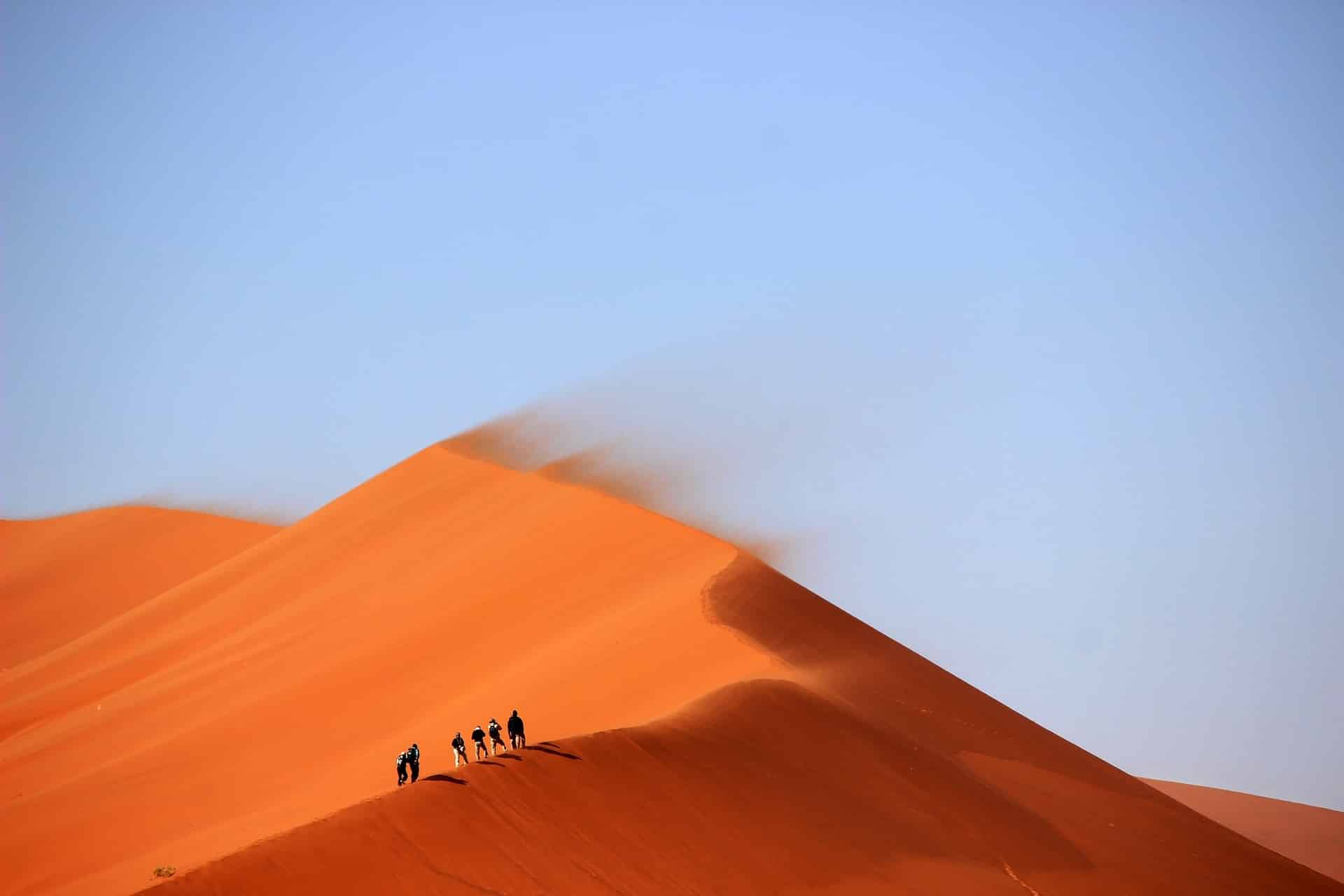 Desert Survival: How To Make It Through The Earth’s Toughest Terrain