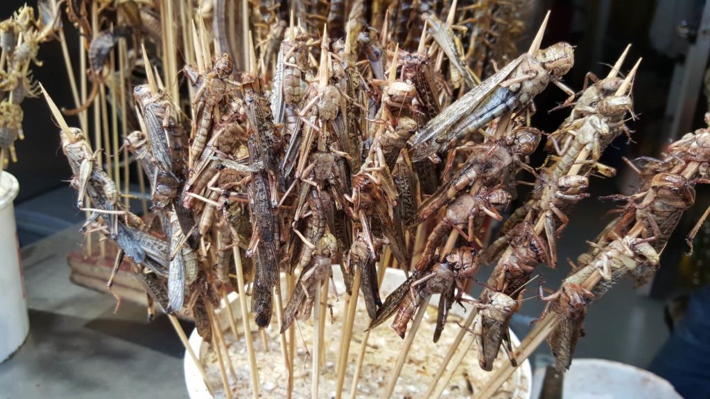 fried grasshoppers on skewers