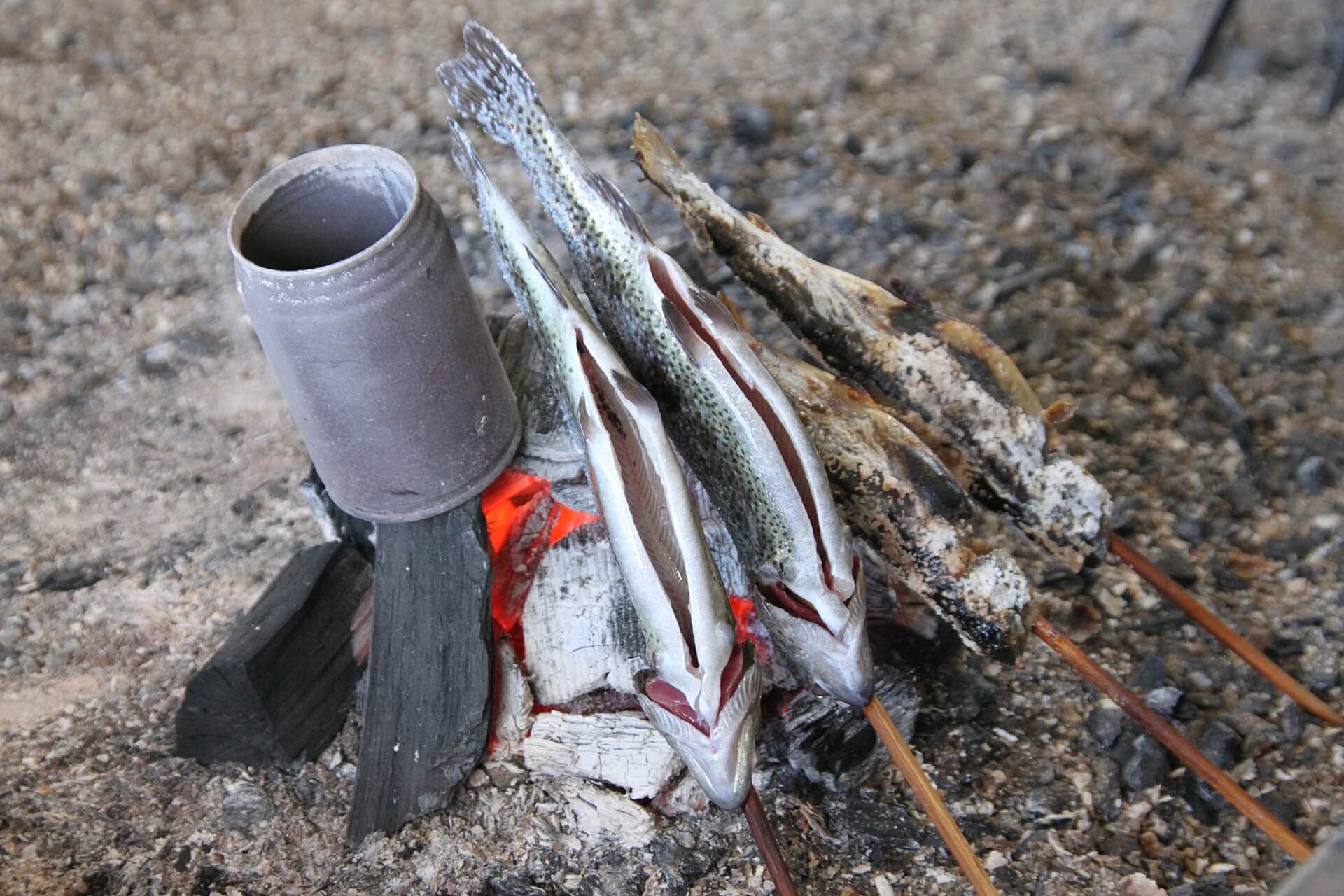 9 Primitive Cooking Methods Every Prepper Should Know