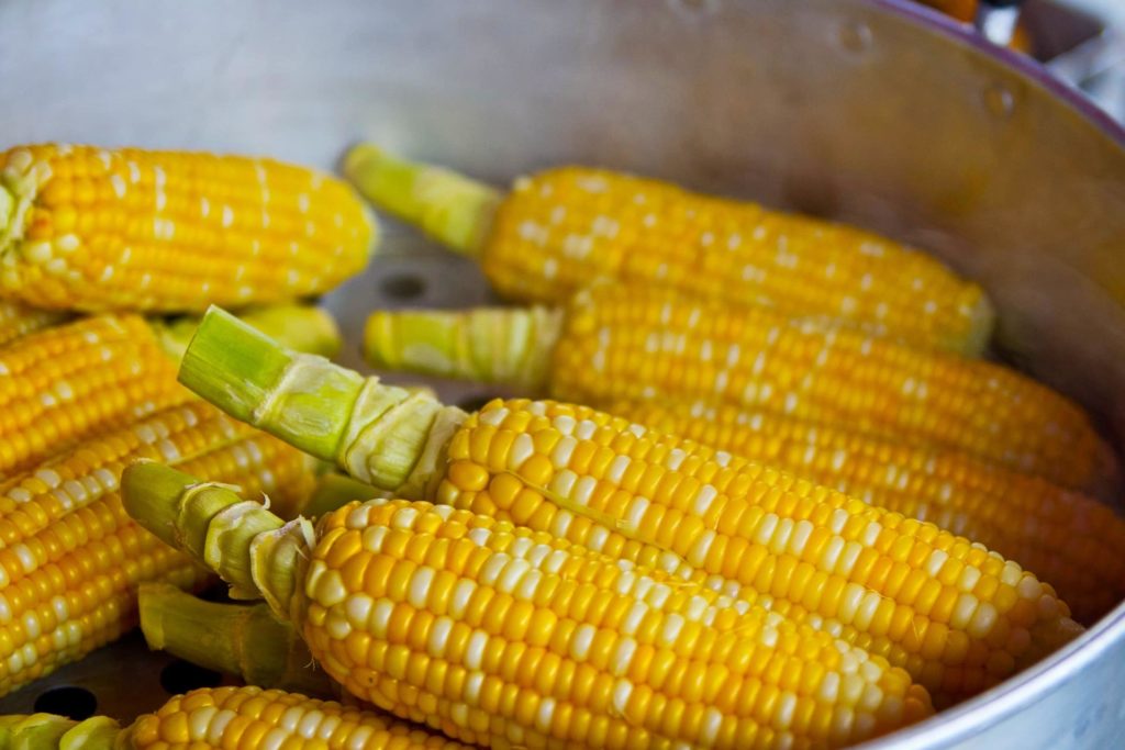 corns on the cob