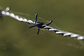 home fortification barbed wire
