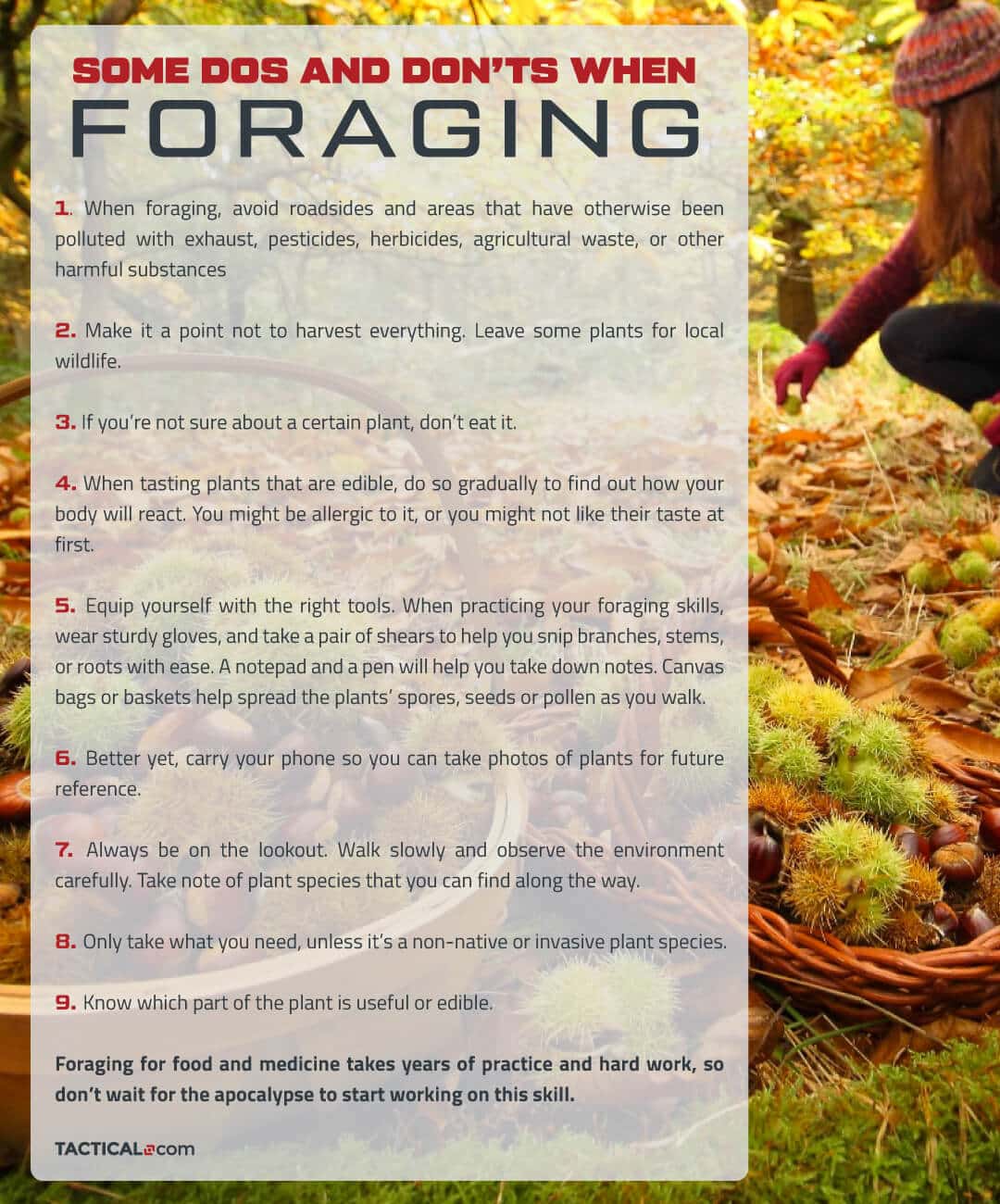Foraging tips