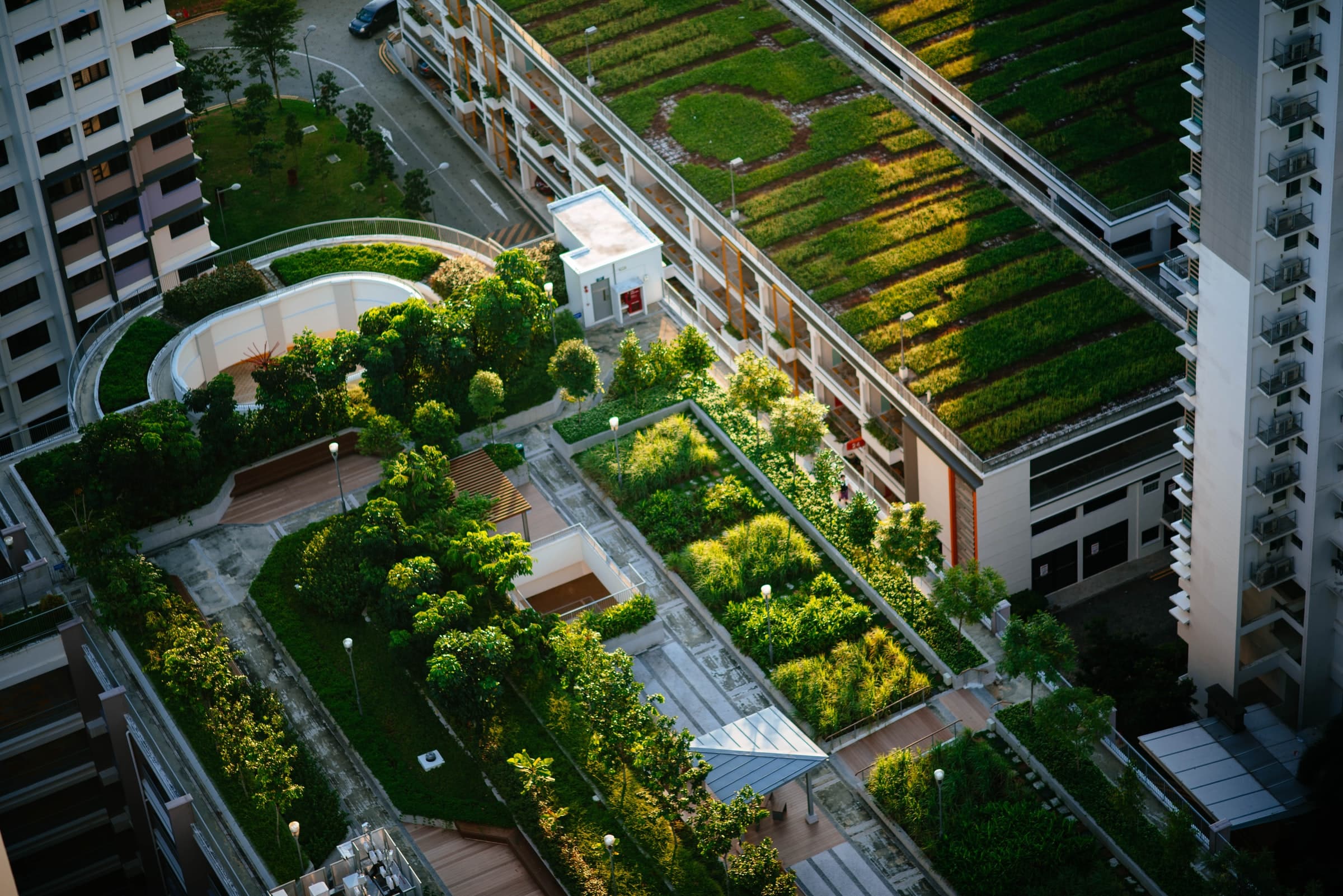 Urban Gardens 101: Garden Like a Pro in the City