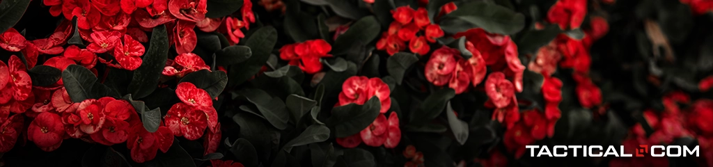 a shrub with crimson flowers is a great option for landscape security