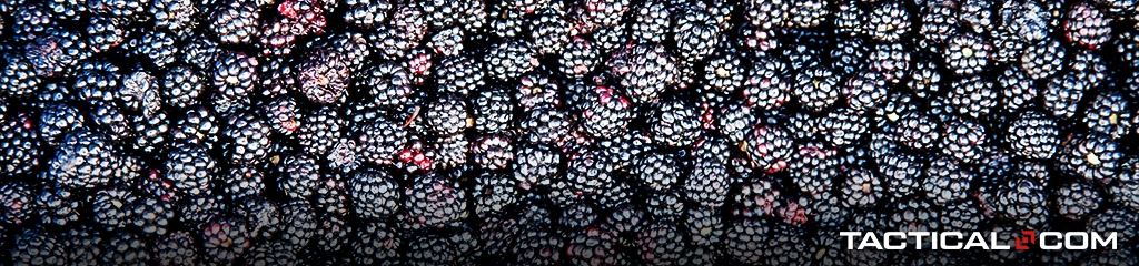 a bunch of blackberries
