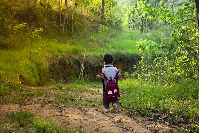 Essential Survival Gear for Your Kid’s Bug Out Bag