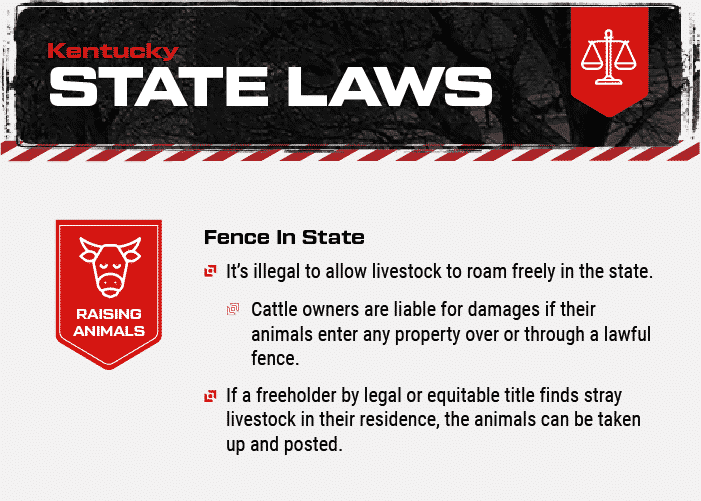 Kentucky state laws