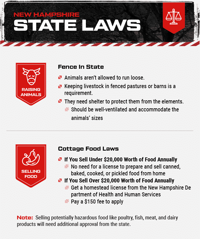 New Hampshire state laws