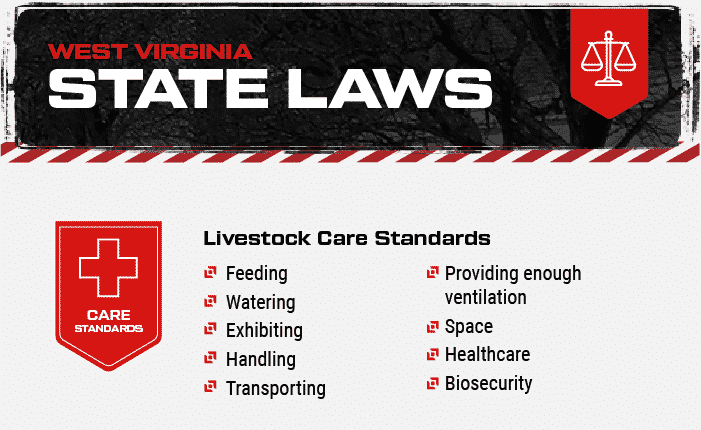 West Virginia state laws