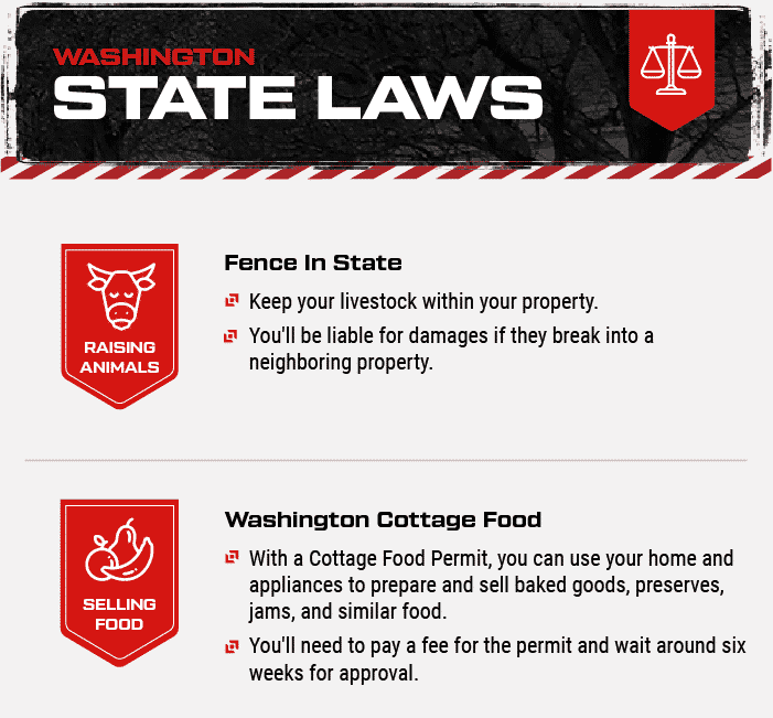 Washington state laws