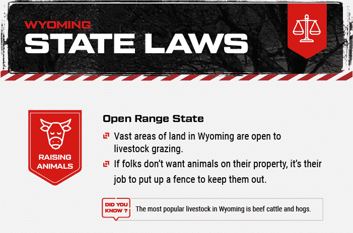 Wyoming state laws