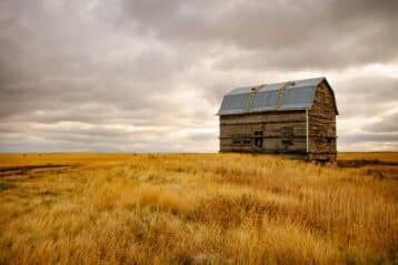 homesteading for beginners