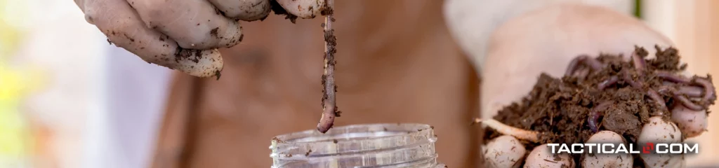 a person holding out a handful of earthworms