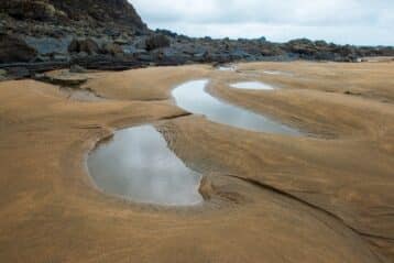 how to get out of quicksand