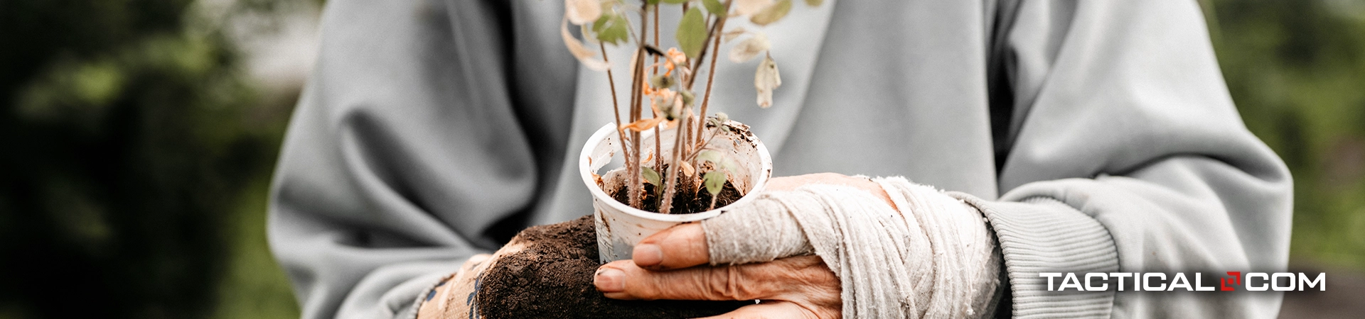 urban garden plants come in all varieties