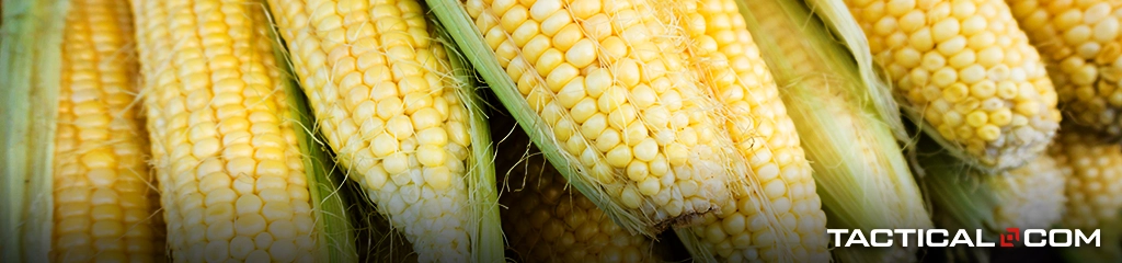 grain plants like corn are popular among preppers thanks to its protein and carb content 