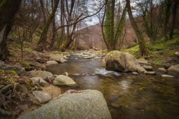 Water sources fresh water systems